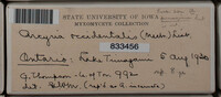 Image Associated With the Occurence